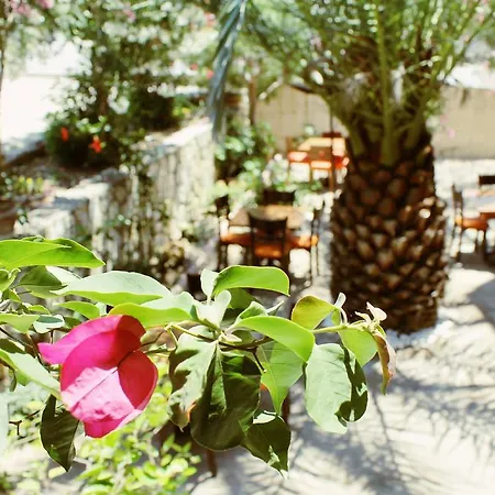 住宿加早餐酒店 Albergo Cesme 3*