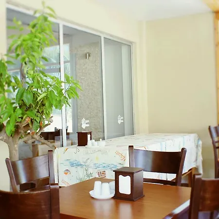 住宿加早餐酒店 Albergo Cesme Çeşme