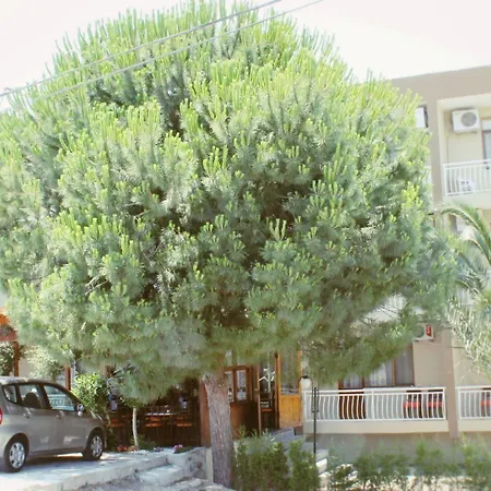 Albergo Cesme 住宿加早餐酒店